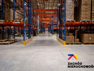 Budynek użytkowy Zielona Góra