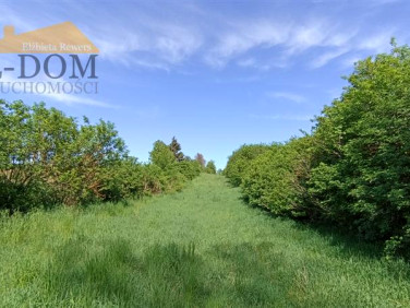 Działka inna Czeczewo