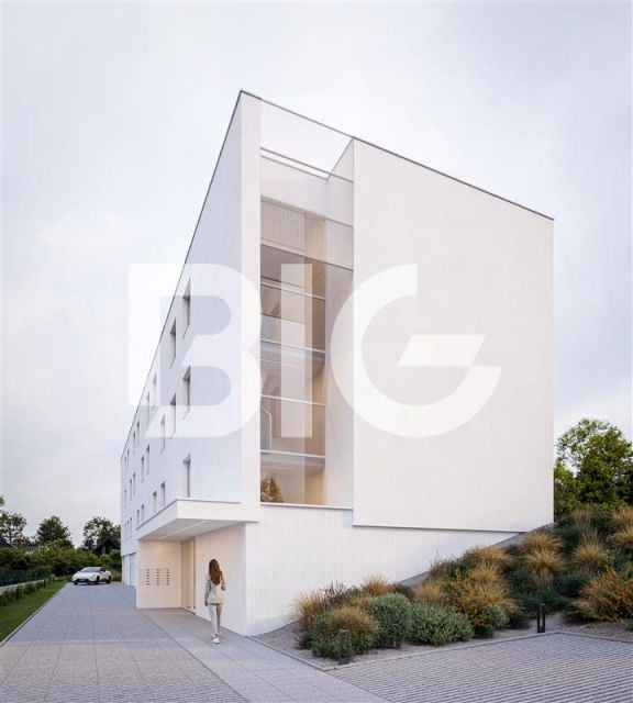 Zdjęcie 3