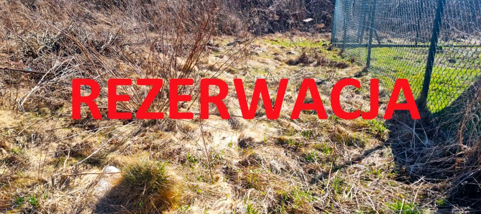 Działka przy lesie