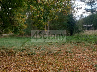 Działka rolna Stary Łajszczew