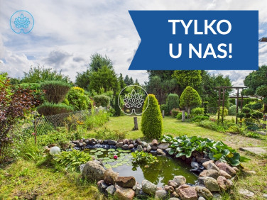 Działka rekreacyjna JAGODOWO