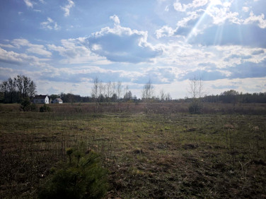 Zalesiona działka Poręby Dymarskie