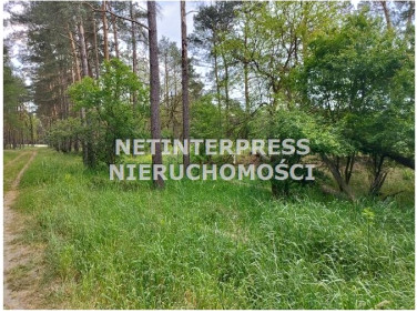 Działka rolna Drawiny