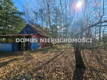 Działka przy lesie