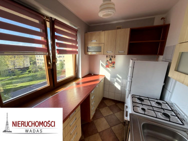 Mieszkanie Gliwice wynajem