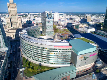 Lokal Warszawa