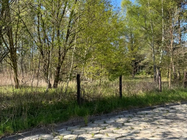 Działka budowlana Rybnik