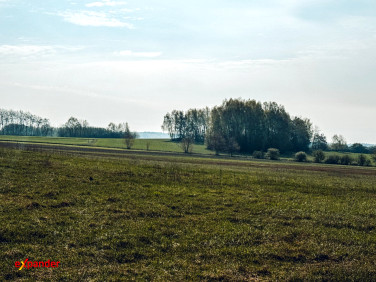 Działka rekreacyjna Parzynów