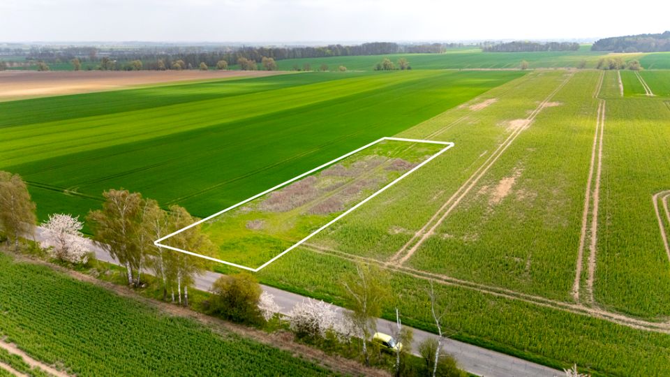 Działka budowlano-rolna Pyrzyce