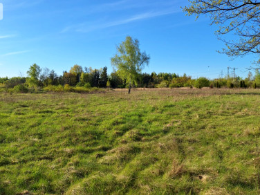 Działka inwestycyjna Grzybiany