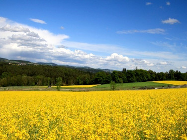 Działka budowlana sprzedam