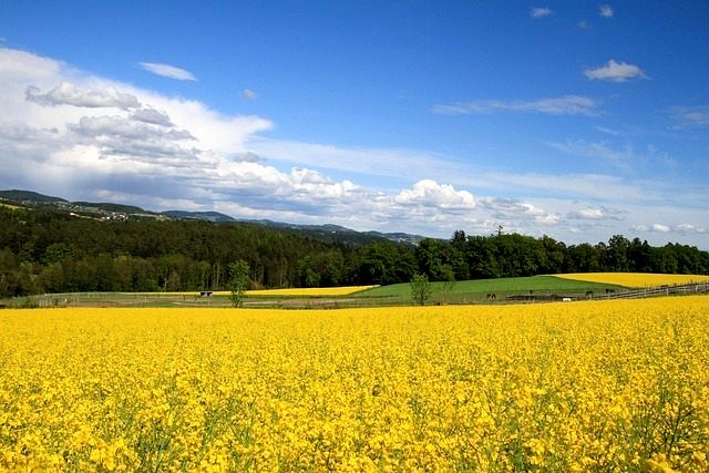 Działka budowlana sprzedam