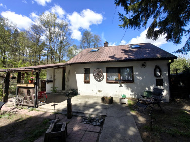 Dom Trzcianka