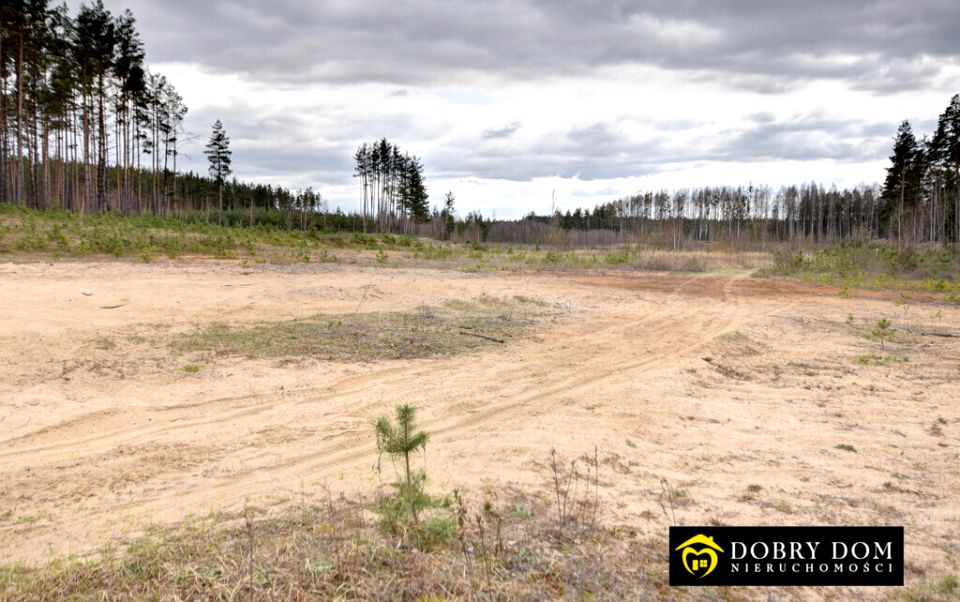 Działka przy lesie