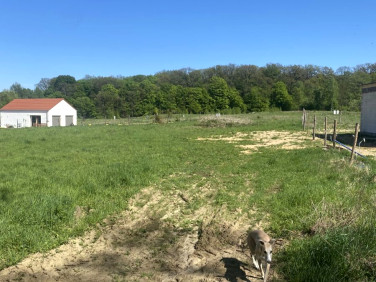 Działka budowlana Leszno