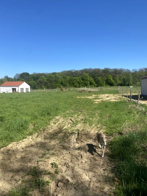 Działka budowlana Leszno