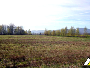 Działka budowlana Wolimierz