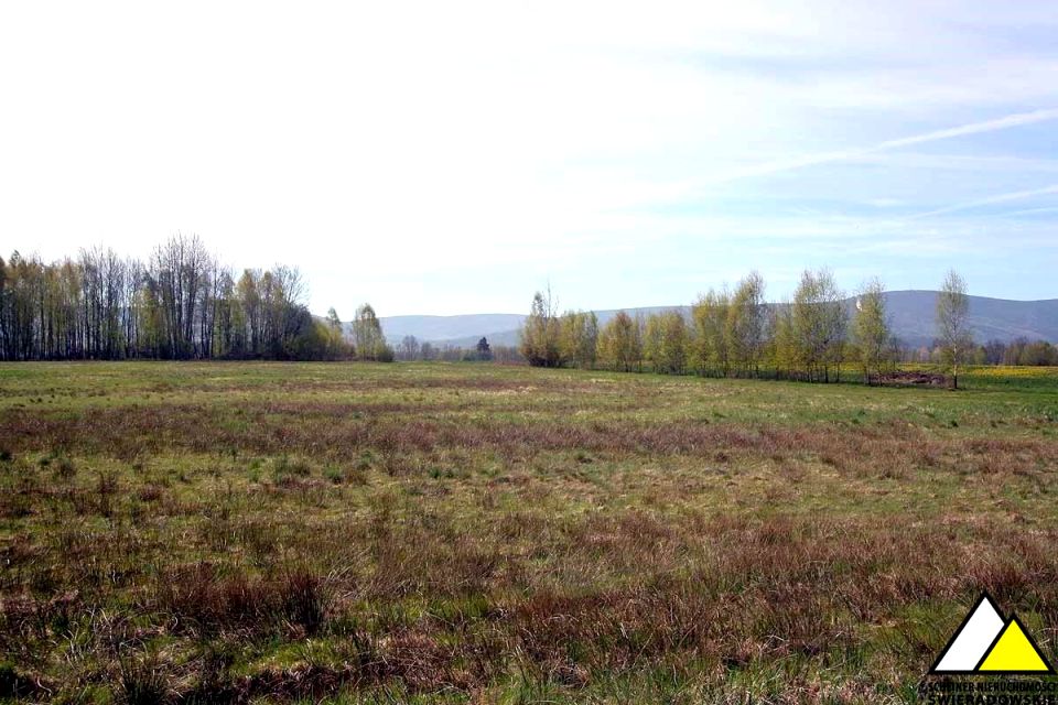 Działka budowlana Wolimierz