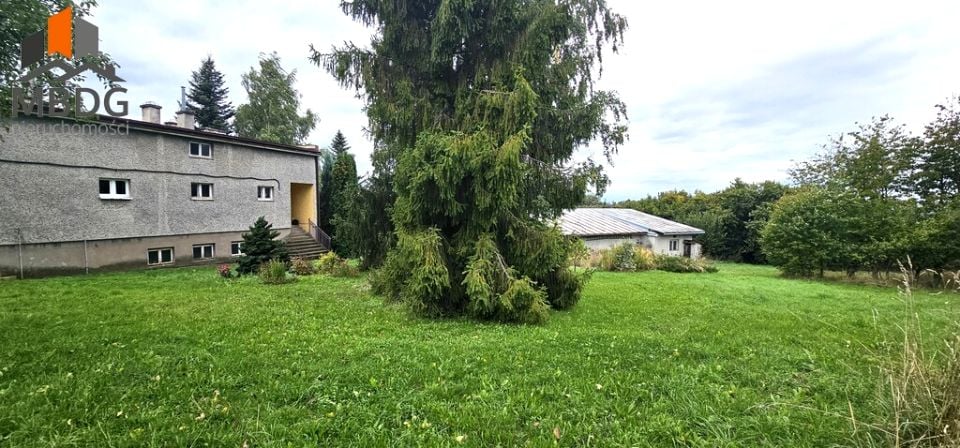 Zdjęcie 2
