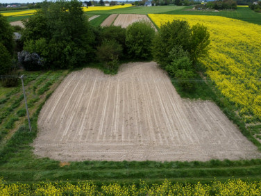Działka siedliskowa Płouszowice-Kolonia