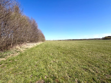 Działka rolna Darłowo