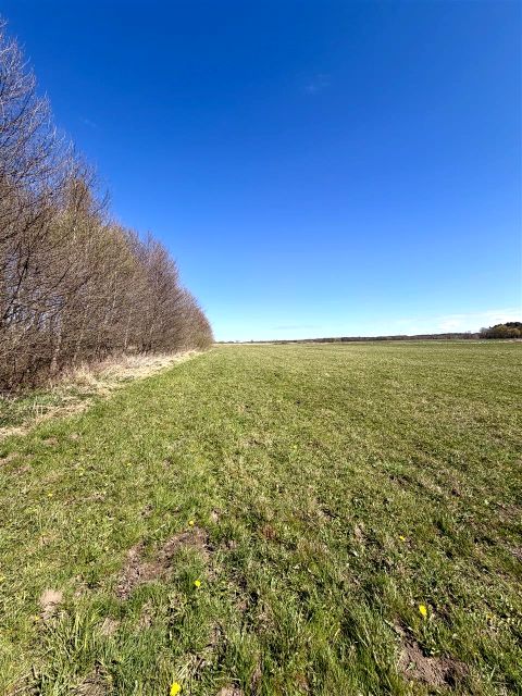 Działka rolna Darłowo