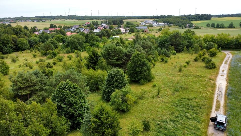 Zdjęcie 2