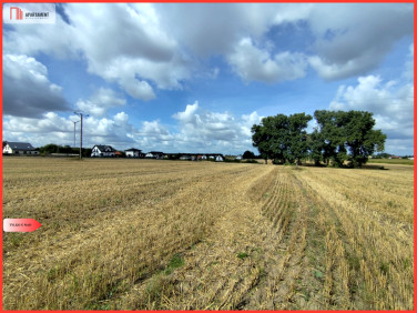 Działka budowlana Witunia