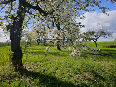 Działka inna Rzeczyca