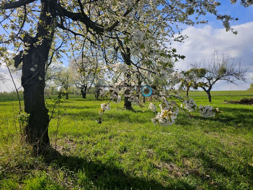 Działka inna Rzeczyca