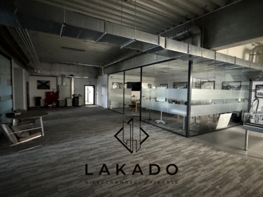Lokal Modlnica