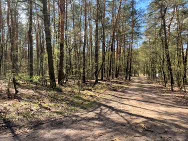 Działka budowlana Otwock