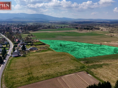 Działka rolna Mirsk