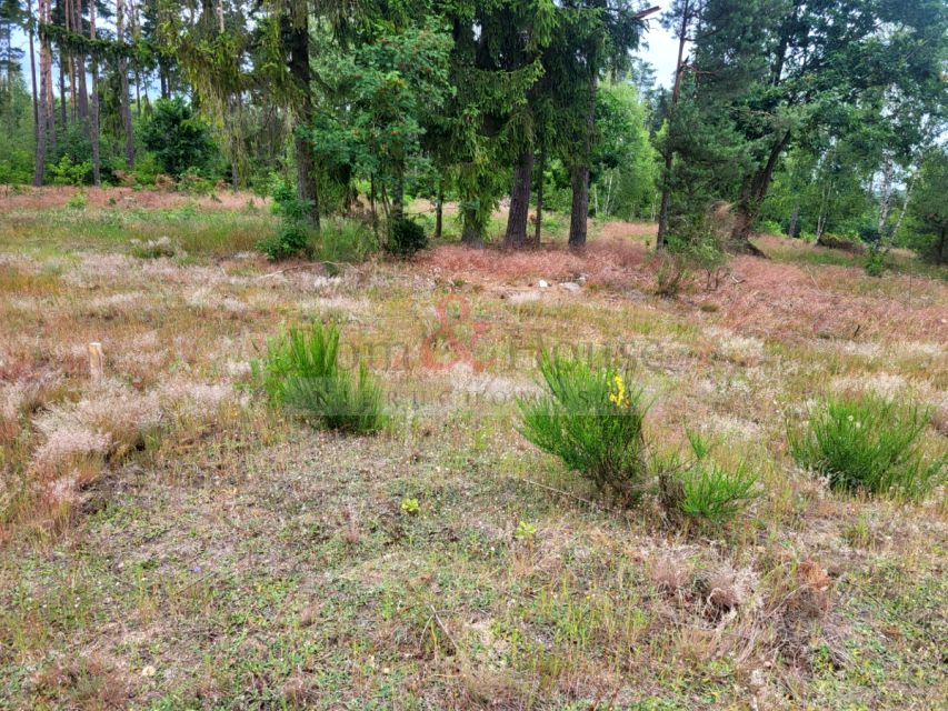 Działka budowlana Borek Kamienny