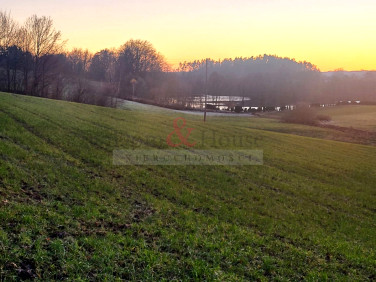 Działka rolna Podjazy