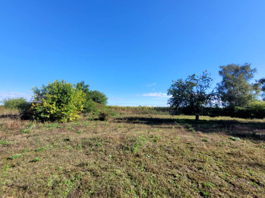 Działka budowlana Chludowo