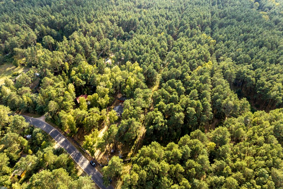 Działka rekreacyjna Jamborek