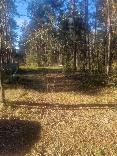 Zdjęcie 3