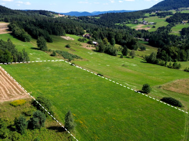 Działka budowlano-rolna Biała Niżna