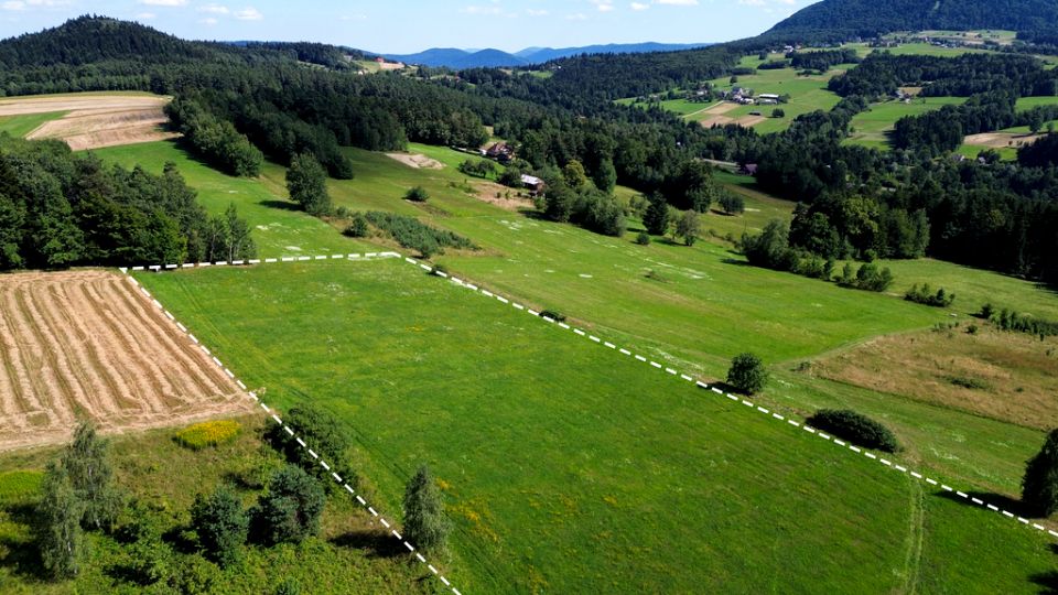 Działka budowlano-rolna Biała Niżna