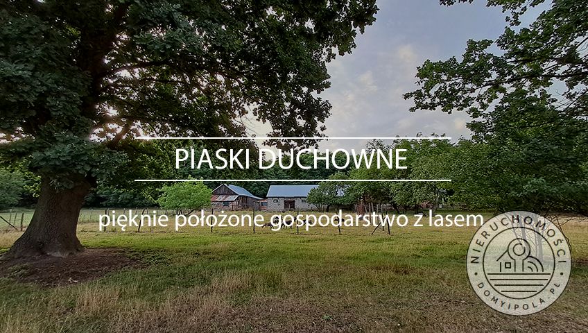 Działka budowlano-rolna Piaski Duchowne