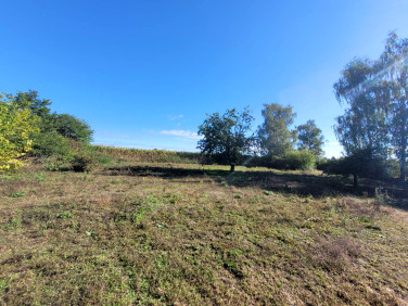 Działka usługowa Chludowo sprzedam