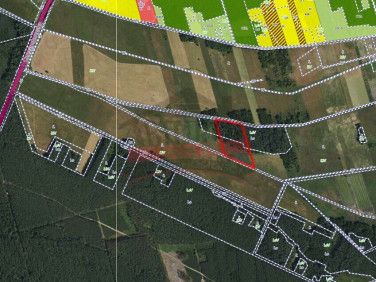 Działka rolna Grodziec