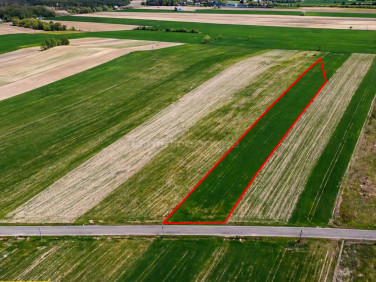 Działka Nowe Rowiska