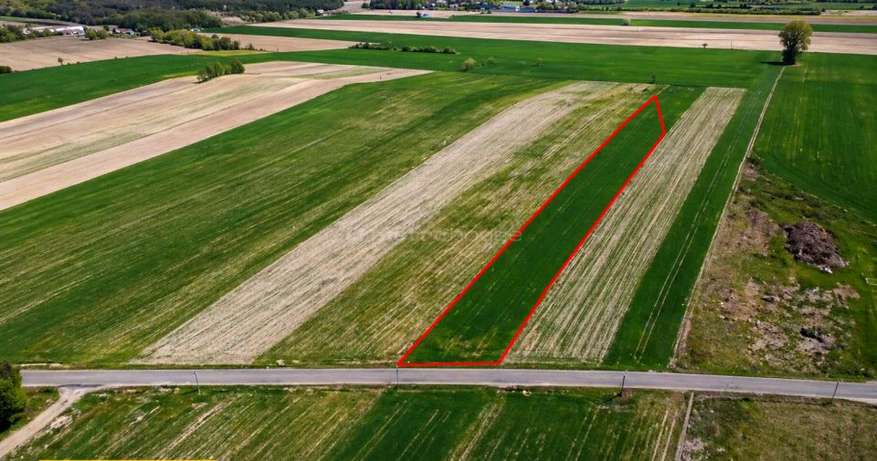 Działka Nowe Rowiska