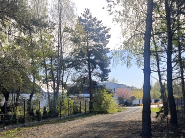 Działka Janów