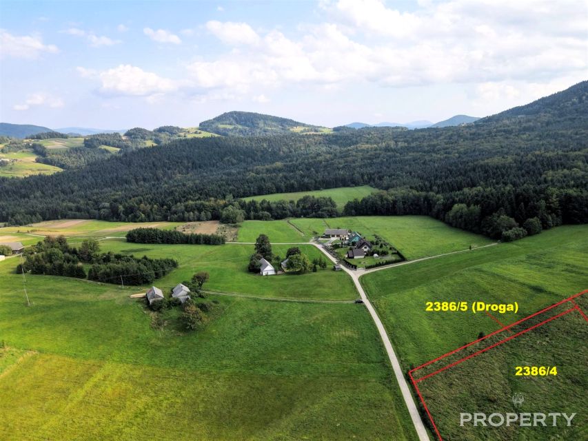 Działka usługowa Ptaszkowa