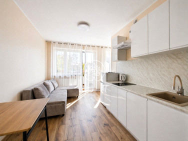 Mieszkanie Toruń sprzedaż