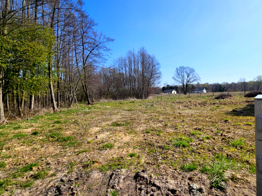 Działka budowlana Grabina